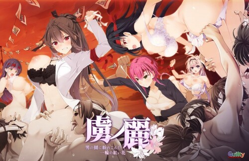 [ADV/AI汉化] 虜之丽 ~混迹男人园中的一朵红花~ +DLC+全CG存档 [3.8G/BD]